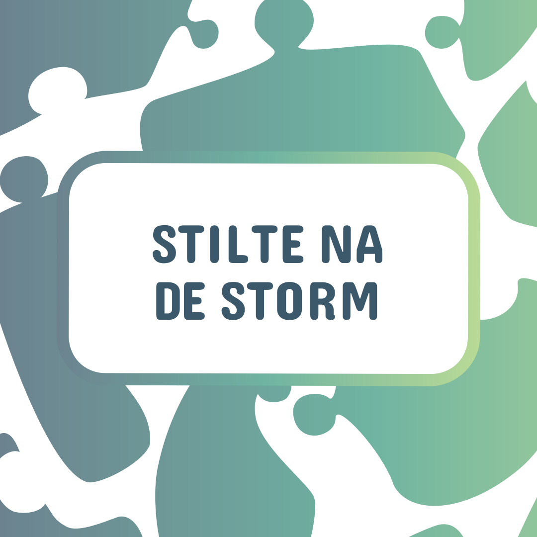 Hoe ik omga met de stilte na de storm